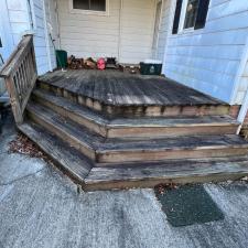 another-deck-staining-asheville-nc 4