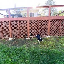 Asheville, NC Deck Staining Project 7