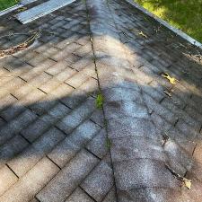 Weaverville Roof Cleaning 1